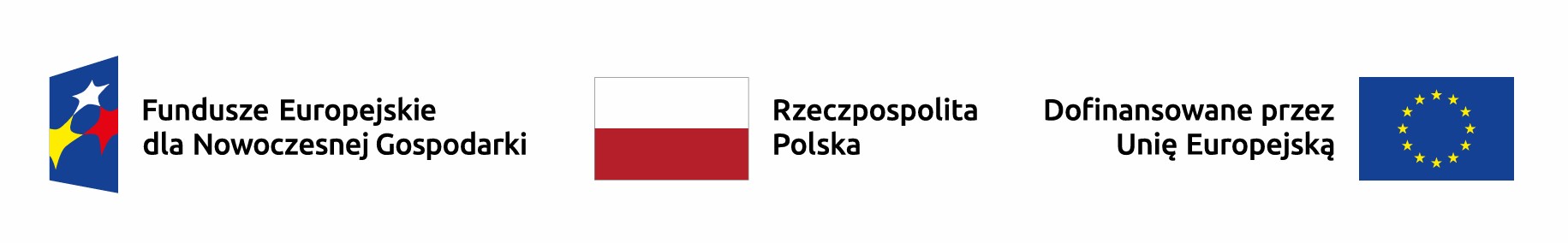 Visual representing the Eurogrant preparation project implemented by ANFINITY Sp. z o.o.